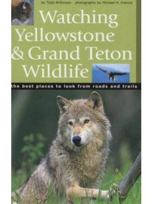 Watching Yellowstone & Grand Teton Wildlife