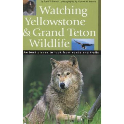 Watching Yellowstone & Grand Teton Wildlife