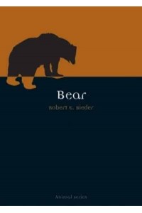 Bear - Animal