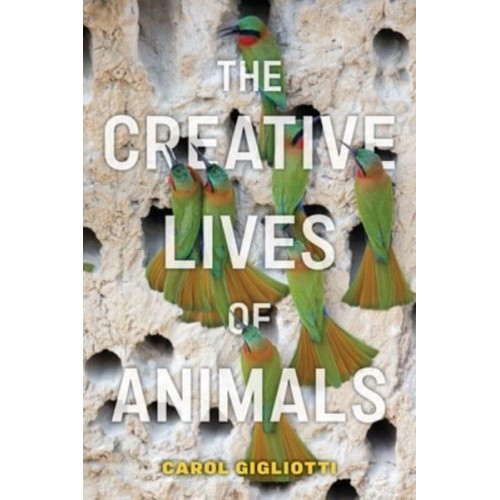 The Creative Lives of Animals - Animals in Context