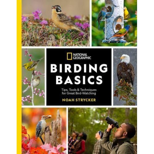 Birding Basics Tips, Tools & Techniques for Great Bird-Watching