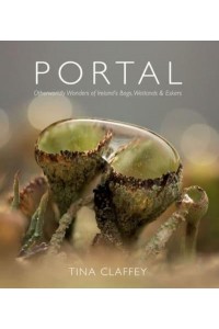A Portrait of Connemara