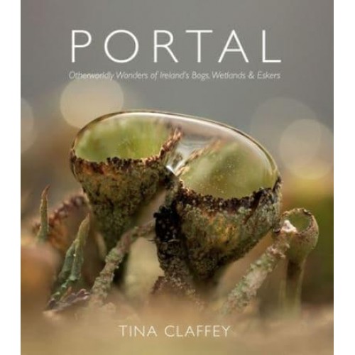 A Portrait of Connemara