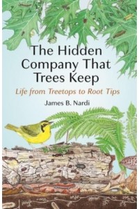 The Hidden Company That Trees Keep Life from Treetops to Root Tips