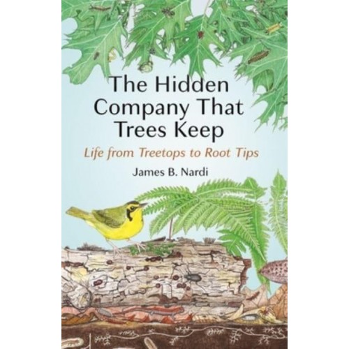 The Hidden Company That Trees Keep Life from Treetops to Root Tips
