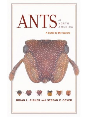 Ants of North America A Guide to the Genera