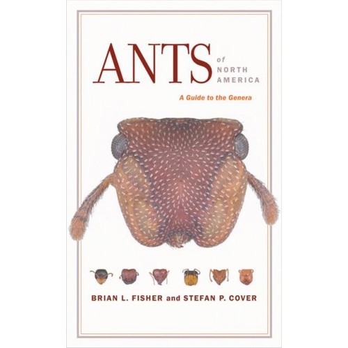 Ants of North America A Guide to the Genera