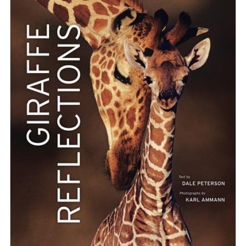 Giraffe Reflections