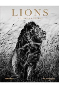 Lions - teNeues Publishing Company