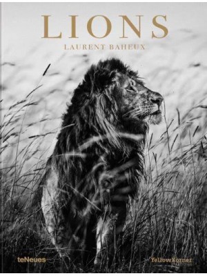 Lions - teNeues Publishing Company