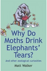 Why Do Moths Drink Elephants' Tears? And Other Zoological Curiosities