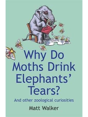 Why Do Moths Drink Elephants' Tears? And Other Zoological Curiosities
