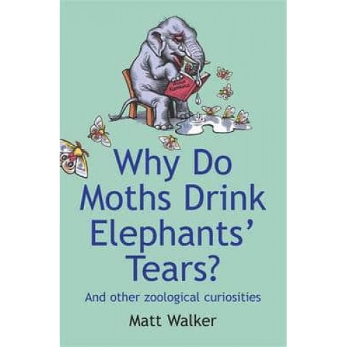 Why Do Moths Drink Elephants' Tears? And Other Zoological Curiosities