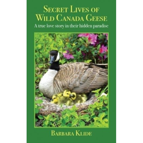 Secret Lives of Wild Canada Geese A True Love Story in Their Hidden Paradise