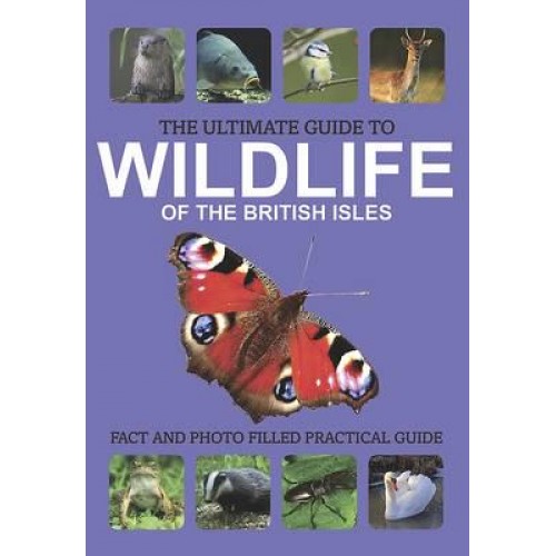 Ultimate Guide to Wildlife of the British Isles