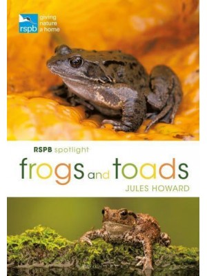 Frogs and Toads - RSPB Spotlight