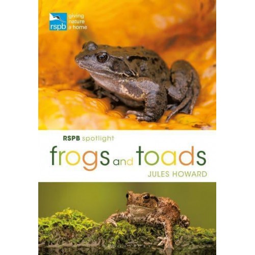 Frogs and Toads - RSPB Spotlight