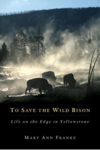 To Save the Wild Bison Life on the Edge in Yellowstone