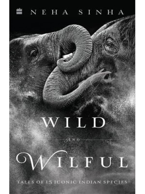 Wild And Wilful