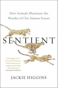 Sentient How Animals Illuminate the Wonder of Our Human Senses