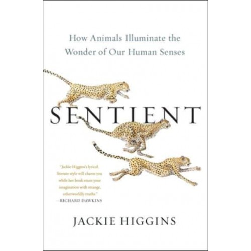 Sentient How Animals Illuminate the Wonder of Our Human Senses