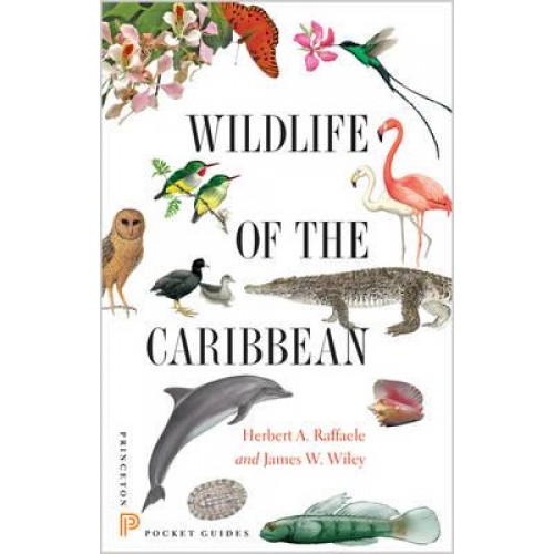 Wildlife of the Caribbean - Princeton Pocket Guides
