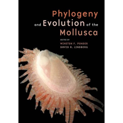 Phylogeny and Evolution of the Mollusca