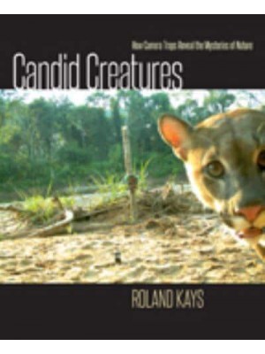 Candid Creatures How Camera Traps Reveal the Mysteries of Nature