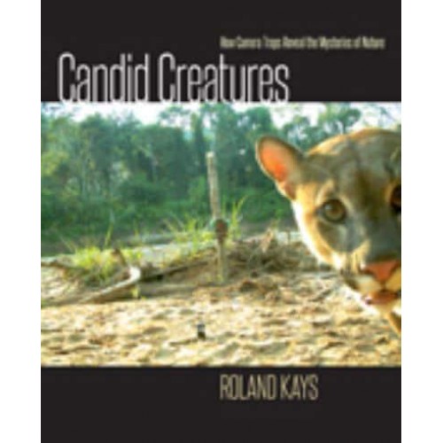 Candid Creatures How Camera Traps Reveal the Mysteries of Nature