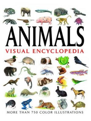 Animals - Visual Encyclopaedia
