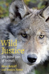 Wild Justice The Moral Lives of Animals