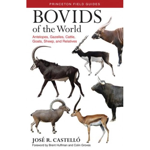 Bovids of the World Antelopes, Gazelles, Cattle, Goats, Sheep, and Relatives - Princeton Field Guides