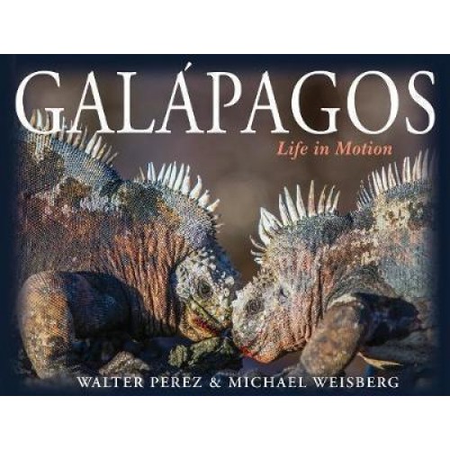 Galápagos Life in Motion