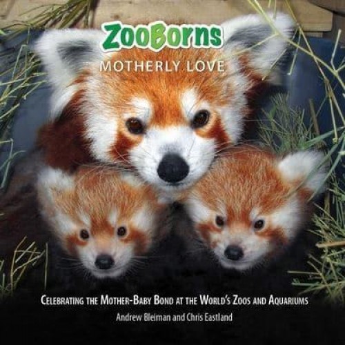 Zooborns Motherly Love Celebrating the Mother-Baby Bond at the World's Zoos and Aquariums