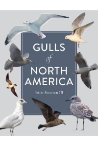Gulls of North America