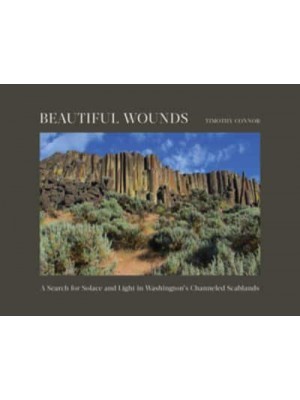 Beautiful Wounds A Search for Solace and Light in Washington's Channeled Scablands