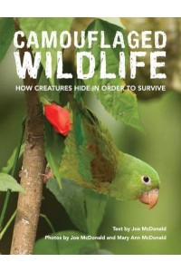 Camouflaged Wildlife How Creatures Hide in Order to Survive
