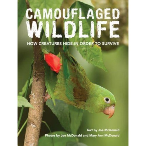 Camouflaged Wildlife How Creatures Hide in Order to Survive