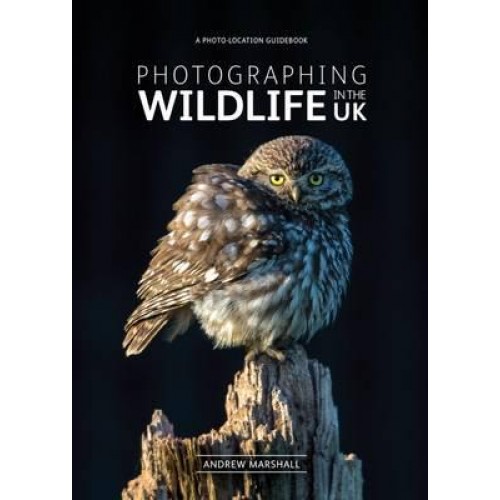 Photographing Wildlife in the UK