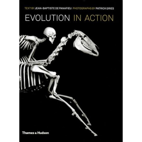 Evolution in Action Natural History Through Spectacular Skeletons