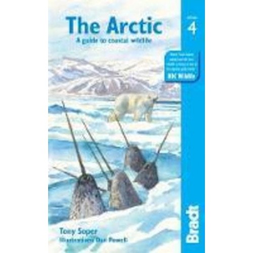 The Arctic A Guide to Coastal Wildlife