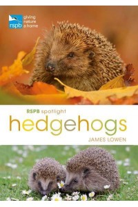Hedgehogs - RSPB Spotlight