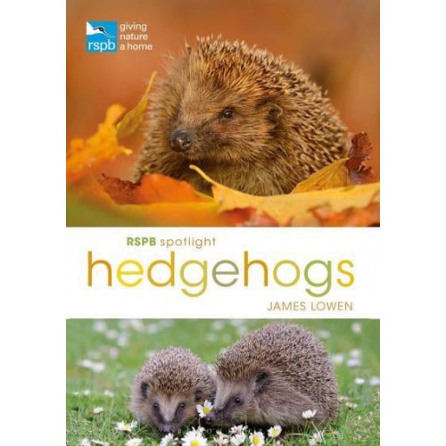 Hedgehogs - RSPB Spotlight