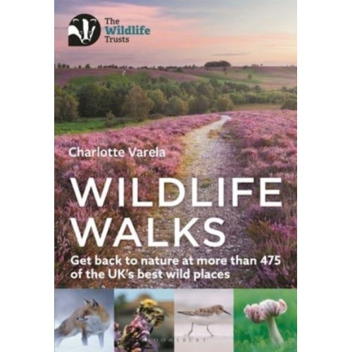 Wildlife Walks Get Back to Nature at More Than 450 of the UK's Best Wild Places