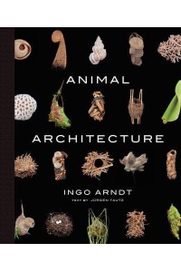 Animal Architecture