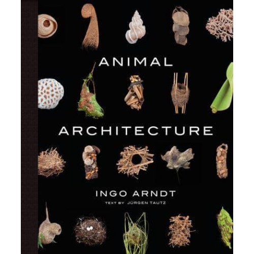 Animal Architecture