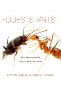 The Guests of Ants How Myrmecophiles Interact With Their Hosts