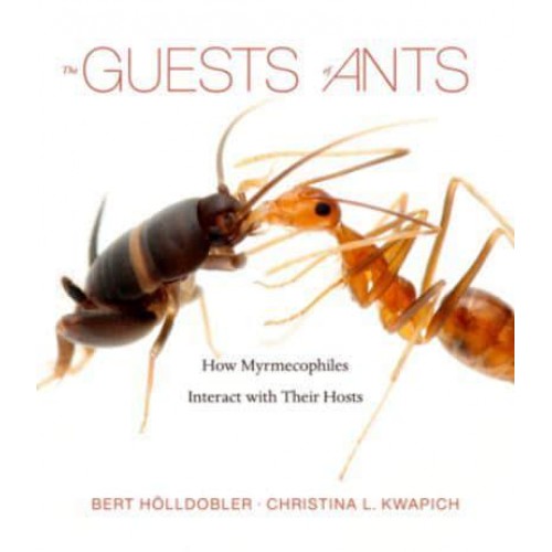 The Guests of Ants How Myrmecophiles Interact With Their Hosts