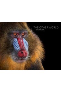 The Other World Animal Portraits