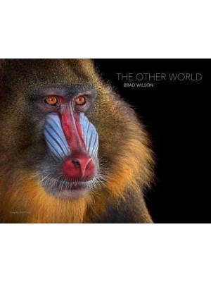 The Other World Animal Portraits